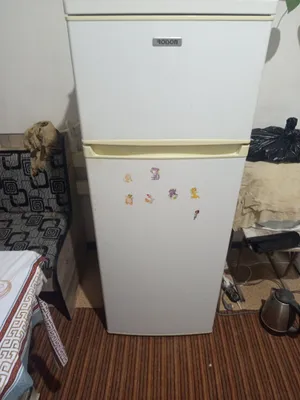 Холодильник РОЙСОН 1