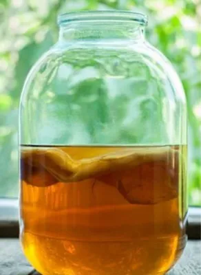 Bankadagi Kombucha choyi 1