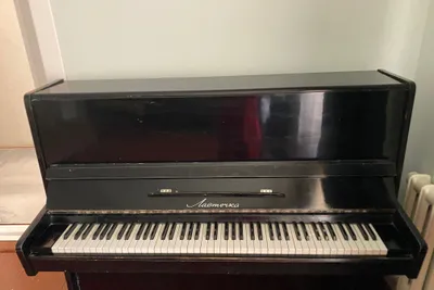 Yaxshi holatdagi «Lastochka» pianinosi 1