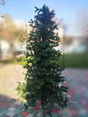 Sun’iy archa. Balandligi 2,5 metr. Cho‘tka emas 1