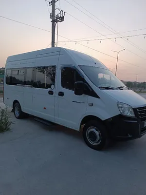 Gazelle Next 2020 1