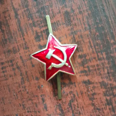 На пилотку кокарда