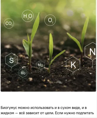 Биогомус Чернозем Уневерсал Оптом Цена и Продажа 1