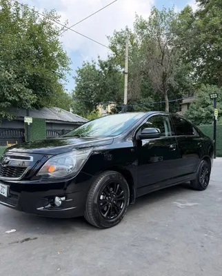Cobolt qora. 2025 yil 1