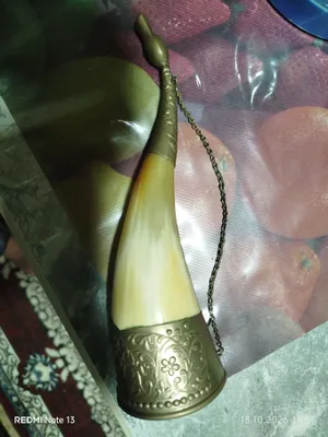 Vino uchun shox sotiladi