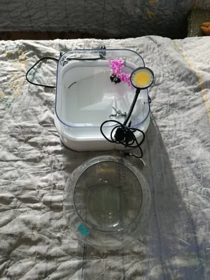 3 litrli dumaloq akvarium va toshbaqalar uchun akvarium sotaman 1