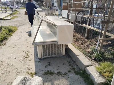 Haladinnik urta holat urtacha 1