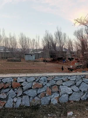 Ката бозорни якнидан 1