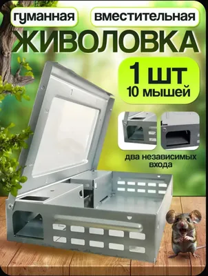 10 tagacha sichqonni tutadigan insonparvar tirik tuzoq 1