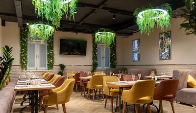 Kafe yoki choyxonaga mo'ljallangan 1