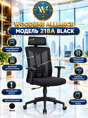 218A Black rusumli ofis kreslolari 1