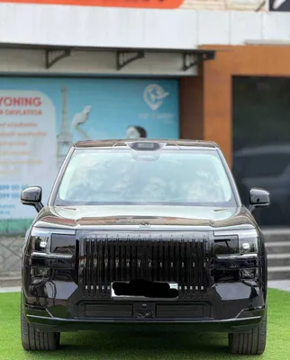 Zeekr 009, 9x | VIP Transfer | Aeroport | Делегация 1