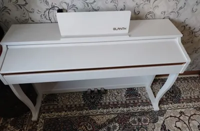 Электропианино, пианино, ионика 1