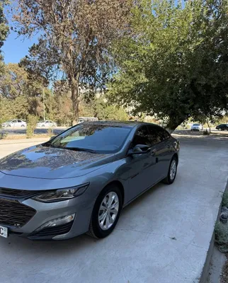 Malibu 2 XL kraskasi toza 1