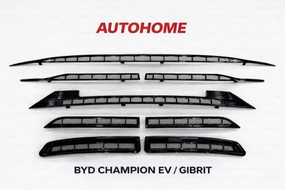 BYD champion radiator setka 1