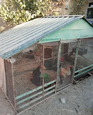 Продаётся курятник очень хорошего качества