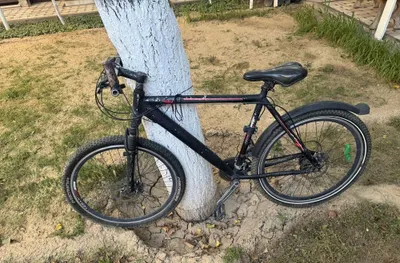 Velosiped velik 1