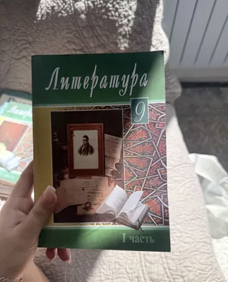 Литература 9 класс 1