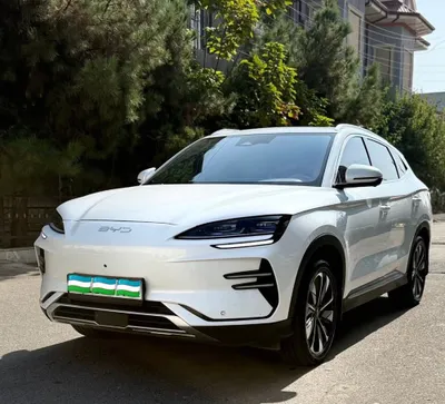 BYD Champion 605 Restaling full srochna 1