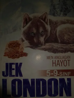 Жизнь, которую я понял 1