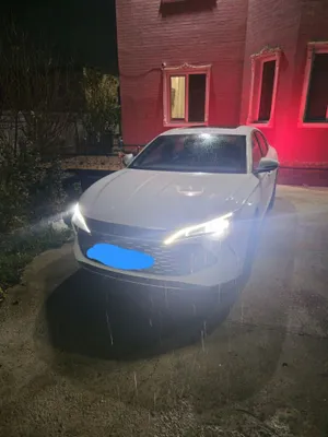 BYD Seal 6, to‘liq himoya plyonkasi va tonirovka 1