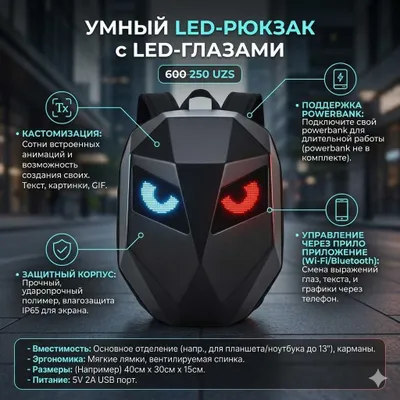 Orqa tomonida LED-ekranli aqlli ryukzak 1