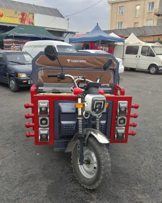 Muravey Electrichiski 1