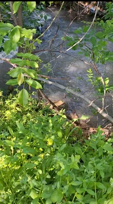 Продаётся участок у воды. Кибрай, махалля Уткир. Около 30 соток 1
