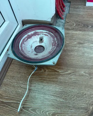 Kolonka karnay dinamik sotiladi 1