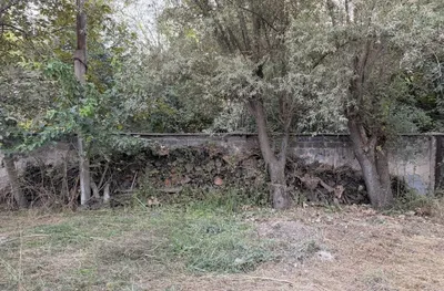 Продаются сухие дрова