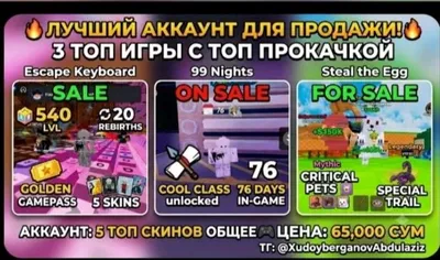 Аккаунт Roblox 1