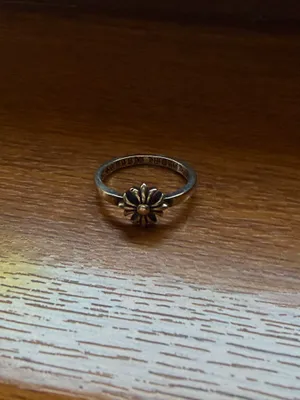 Chrome Hearts uzugi 1