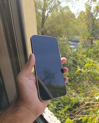 Iphone 13 pro max ideal 1