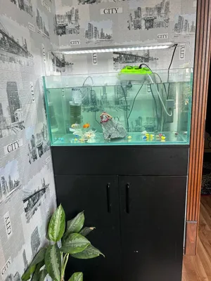 Продаётся аквариум 1