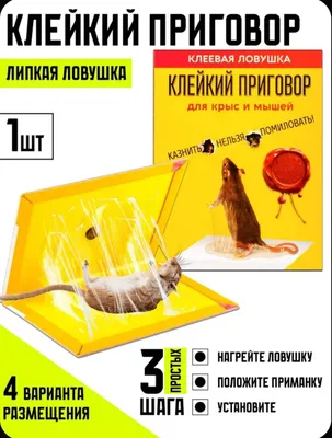 Клеевая ловушка для крыс и мышей 1