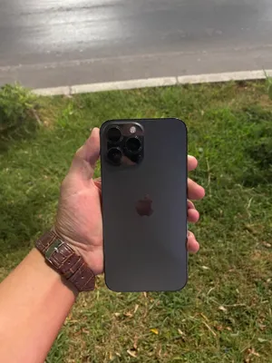 13 pro max 1024gb 1