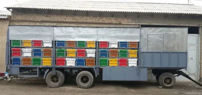 Asal ari pavilyon sotila 1