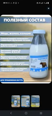 it, bo‘rsiq va ayiq yog‘i 1