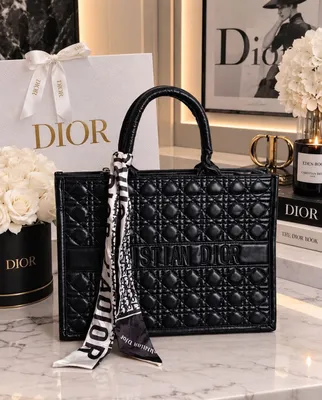 Сумка Christian Dior