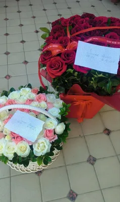 Qizil atirgul keltirib beriladi 1
