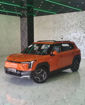 Dongfeng Nammi 06 1