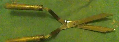 Bog‘ qaychisi, sanchqi belkurak 1