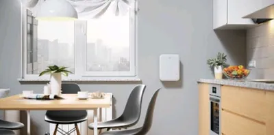 Чистый кислород Ballu ONEAIR ASP-80 1