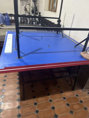 Zudlik bilqn stol tennisi sotiladi