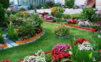 Gazon va Gullar ekish Xizmati Archa kesish dorilash Perchisliniya bor 1