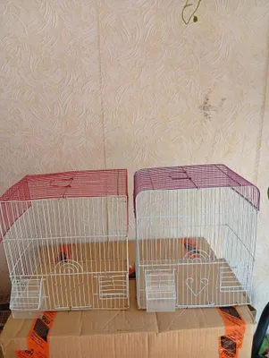 Клетки для птиц. 1