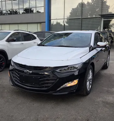 malibu xl masla 2025 1