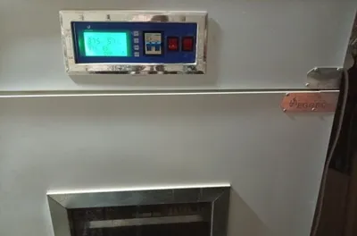 Inkubator hizmati