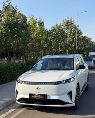 Dongfeng 008 гибрид, 2025 год 1