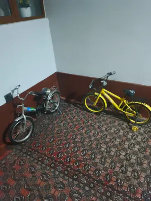 velosefet 1